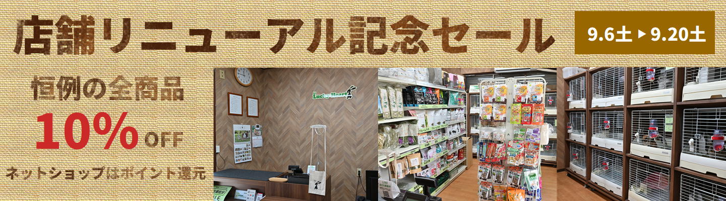 店舗リニューアル記念セール