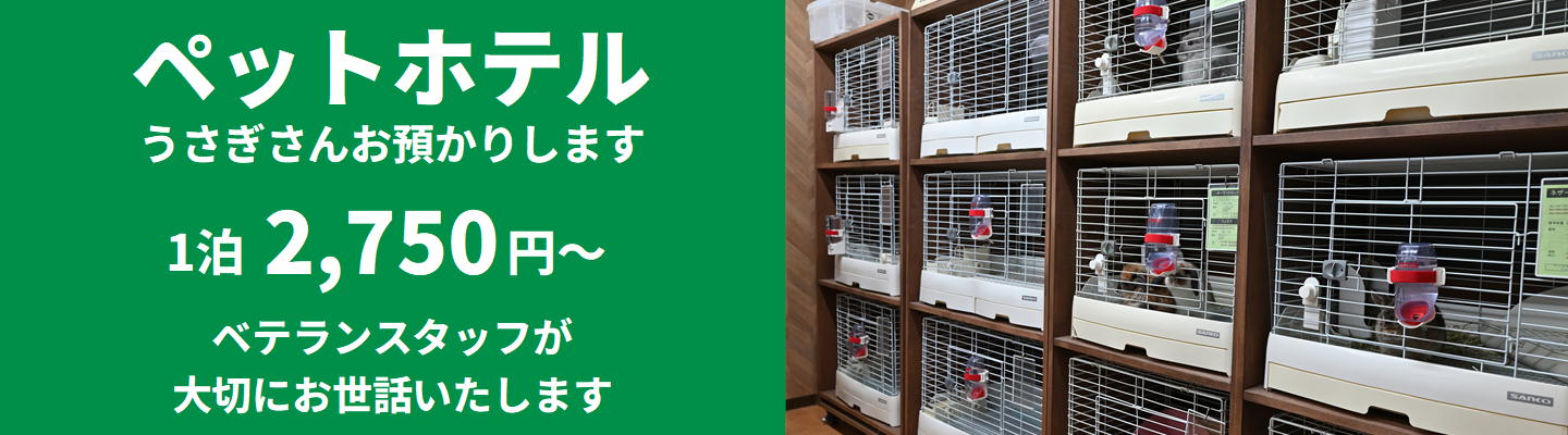 うさぎ専門店ラッキーハート - エサ・牧草・用品通販、ペットホテル