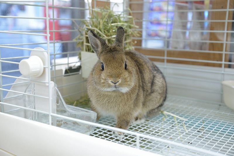 Nxpvdg Z7hjdm Nxpvdg Z7hjdm