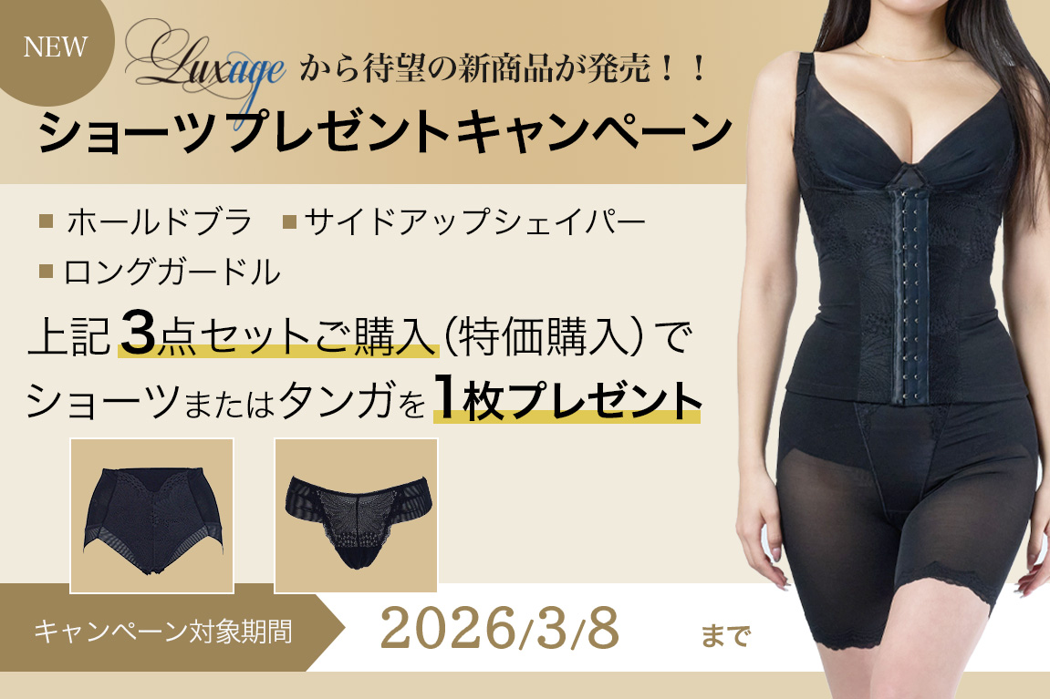 ��Luxage ��� �ۡ���ɥ֥饸�㡼���������ѡ������󥰥����ɥ� 3�����åȡý��������֥롼���奯�������������������