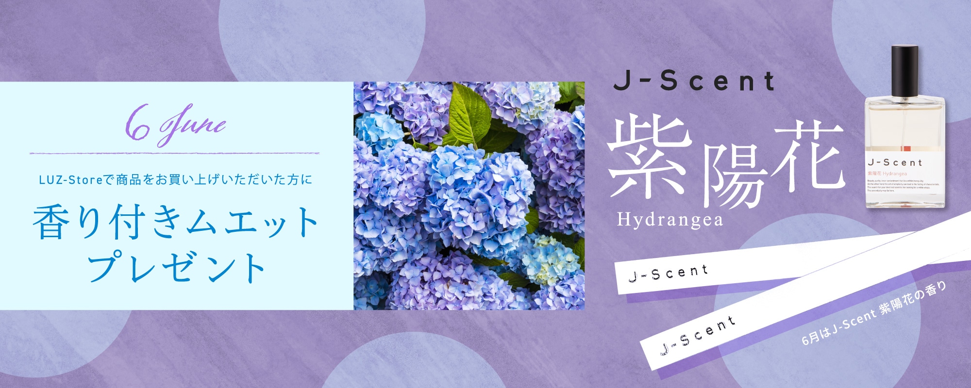 6月はJ-Scent 紫陽花の香り付きムエットをプレゼント！ - お知らせ - LUZ-Store（ルズストア）香水のオンライン販売