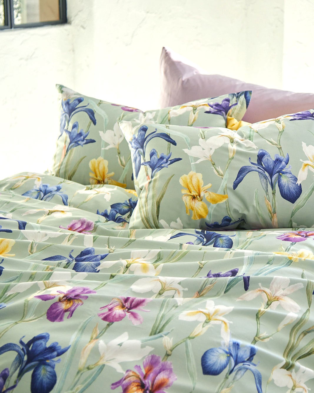 CHARLOTTE ����2