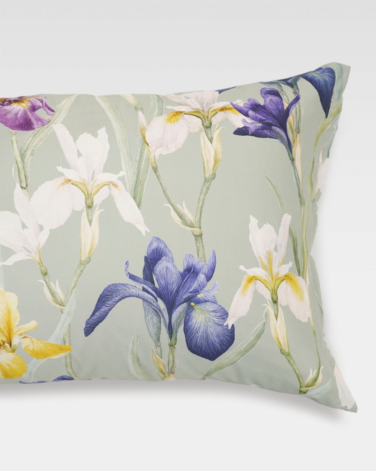 CHARLOTTE ����3