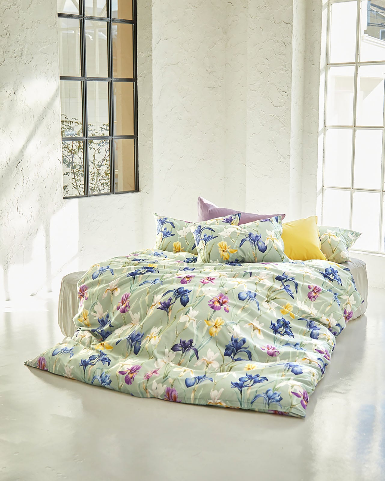 CHARLOTTE ����1