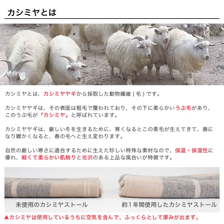 �����ߥ�