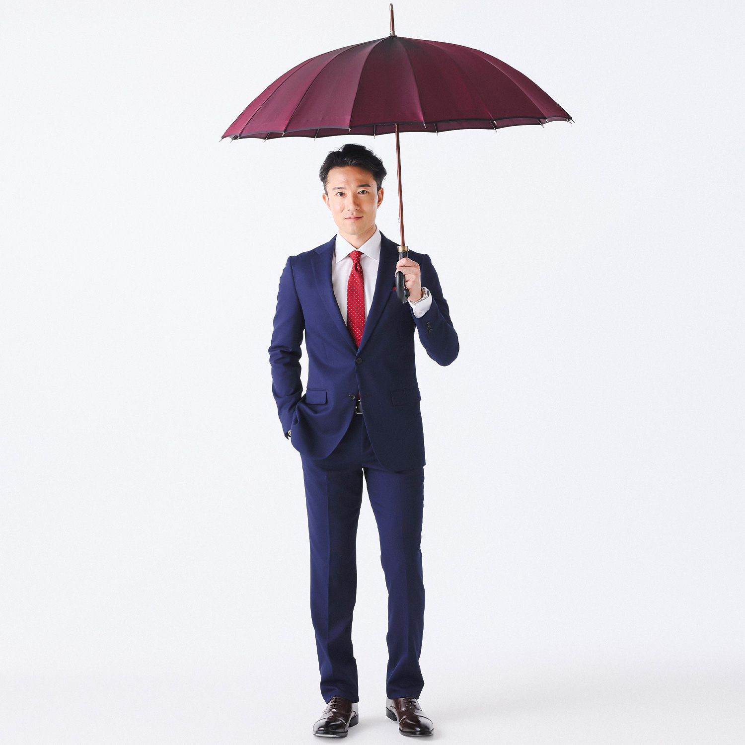 【メンズ雨傘】リベリオラ-カーボン-カベルネ イメージ