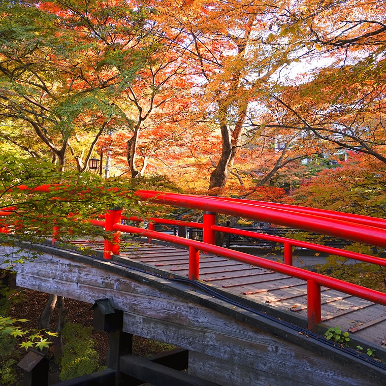 旅館やホテルでのお客様向け貸出し用として