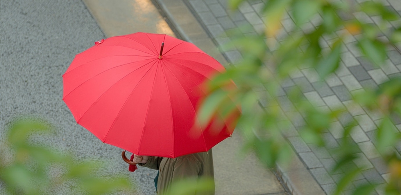 婦人用雨傘