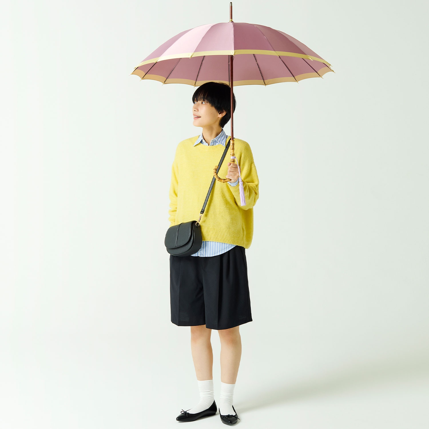 【レディース雨傘】ボーダー-カーボン-パープル