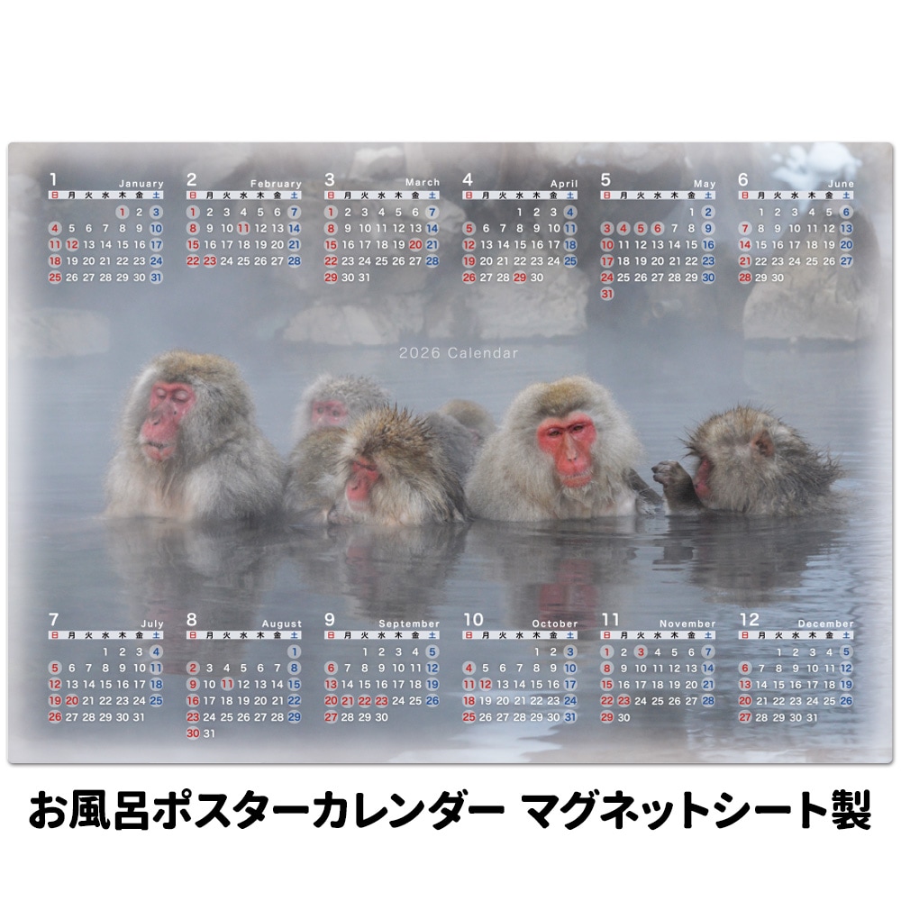 2026ǯ���դ��ݥ��������������ڲ����ˤĤ����ۥޥ��ͥåȥ�������