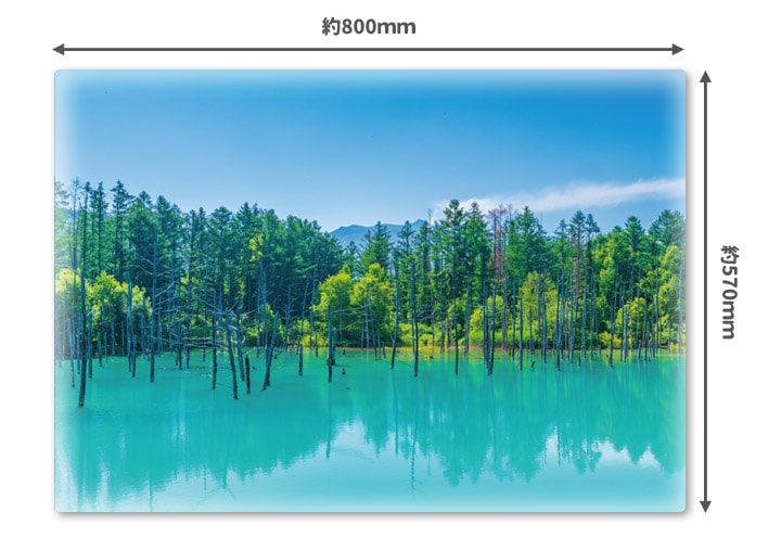 ���Ϥ�������