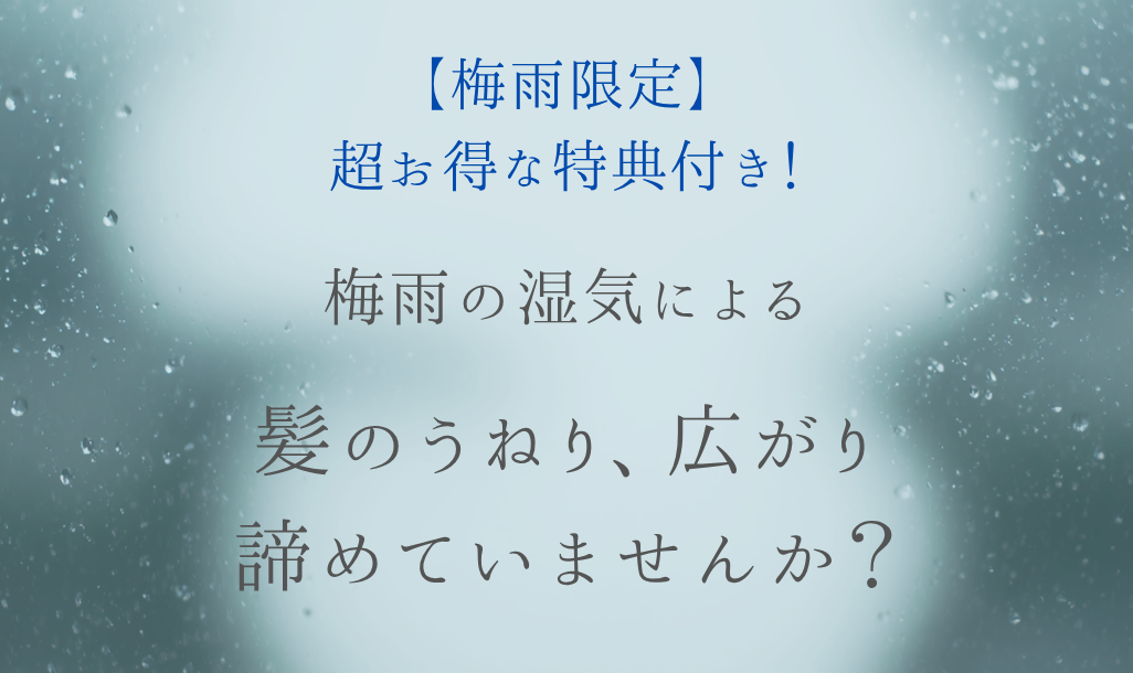 �쥤�ˡ������ڡ���1