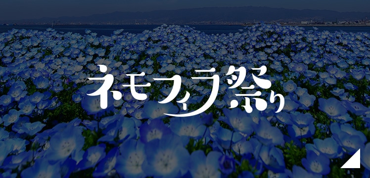 大阪まいしまシーサイドパーク「ネモフィラ祭り」