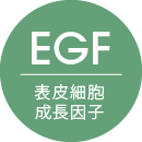 EGF 表皮細胞成長因子