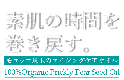 公式/モロッコ100%オーガニック ウチワサボテンオイル<美容オイル 公式/モロッコ100%オーガニック ウチワサボテンオイル<美容オイル