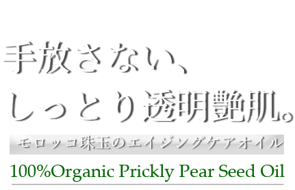 ��ȩ�λ��֤򴬤��᤹������å���̤Υ������󥰥���������