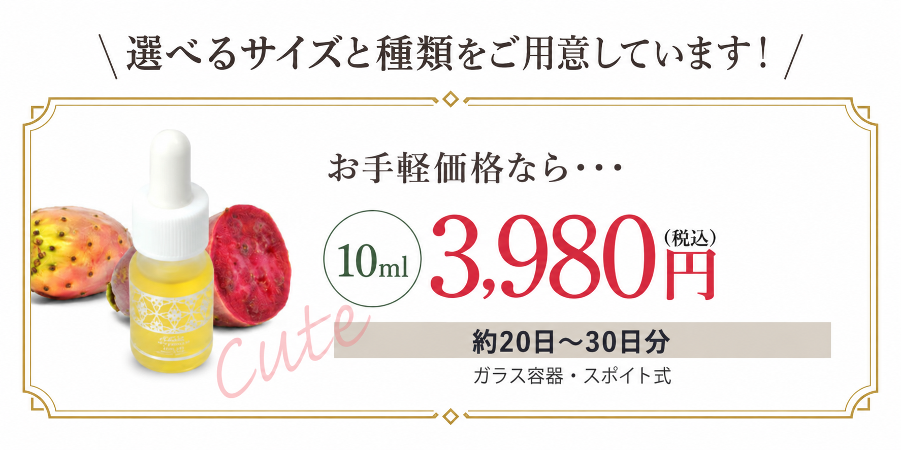 公式／【初回お試し限定】モロッコ100％オーガニック ウチワサボテン