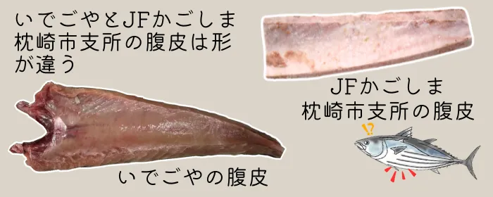 いでごやとまくぎょの形の違い