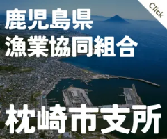 枕崎市漁業協同組合