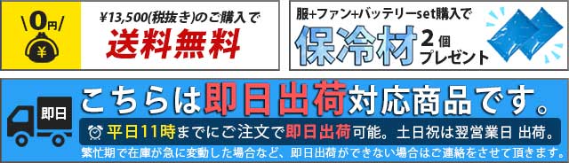 12V対応_【RD9290J】_圧倒的実績の22年型バッテリーset（充電器 