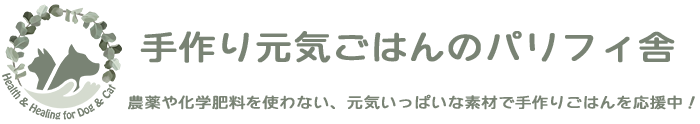 野菜パウダー 【納豆粉末】　パリフィ舎