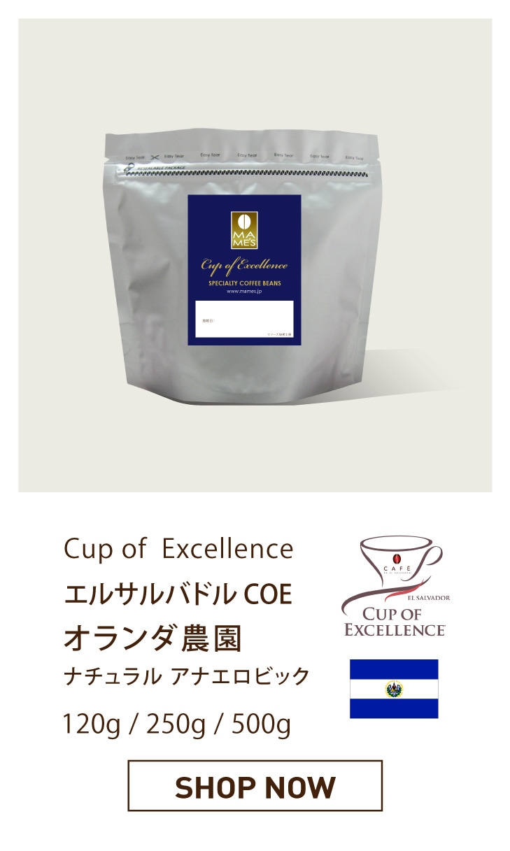 エルサルバドル　COE　オランダ農園
