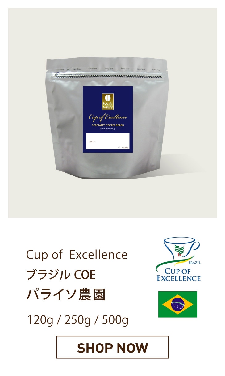 ブラジルCOE パライソ農園
