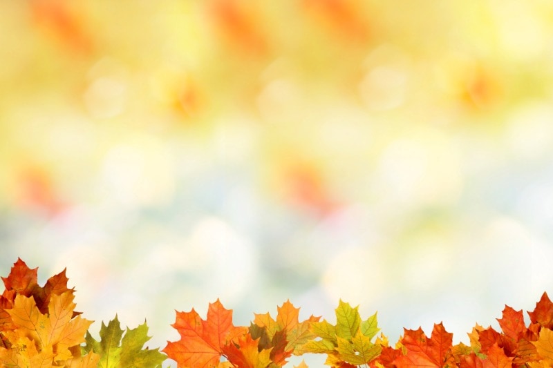 日本の伝統ギフト