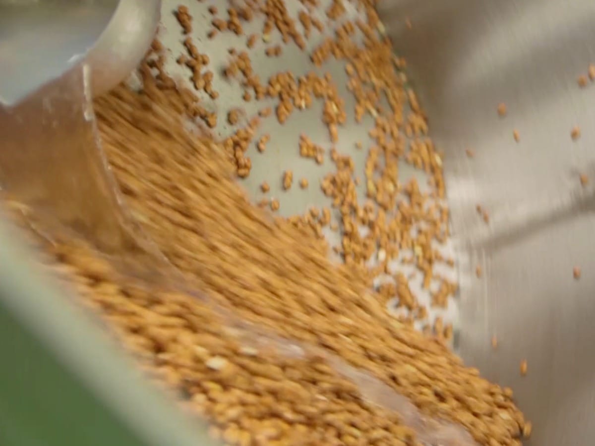 回転する釜で豆に糖蜜と粉の衣を重ねる工程