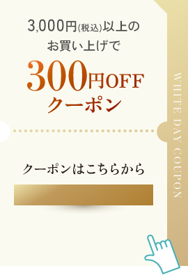 3,000��(�ǹ�)�ʾ�Τ��㤤�夲��300��OFF�����ݥ�