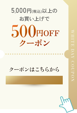 5,000��(�ǹ�)�ʾ�Τ��㤤�夲��500��OFF�����ݥ�