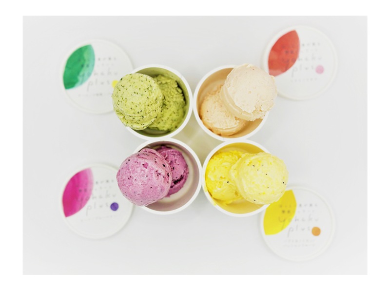 ジェラート8個セット