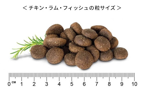 ステイロイヤル ドッグフード の粒サイズ