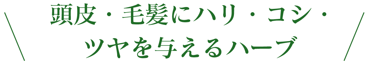 頭皮・毛髪にハリ・コシ・ツヤを与えるハーブ　