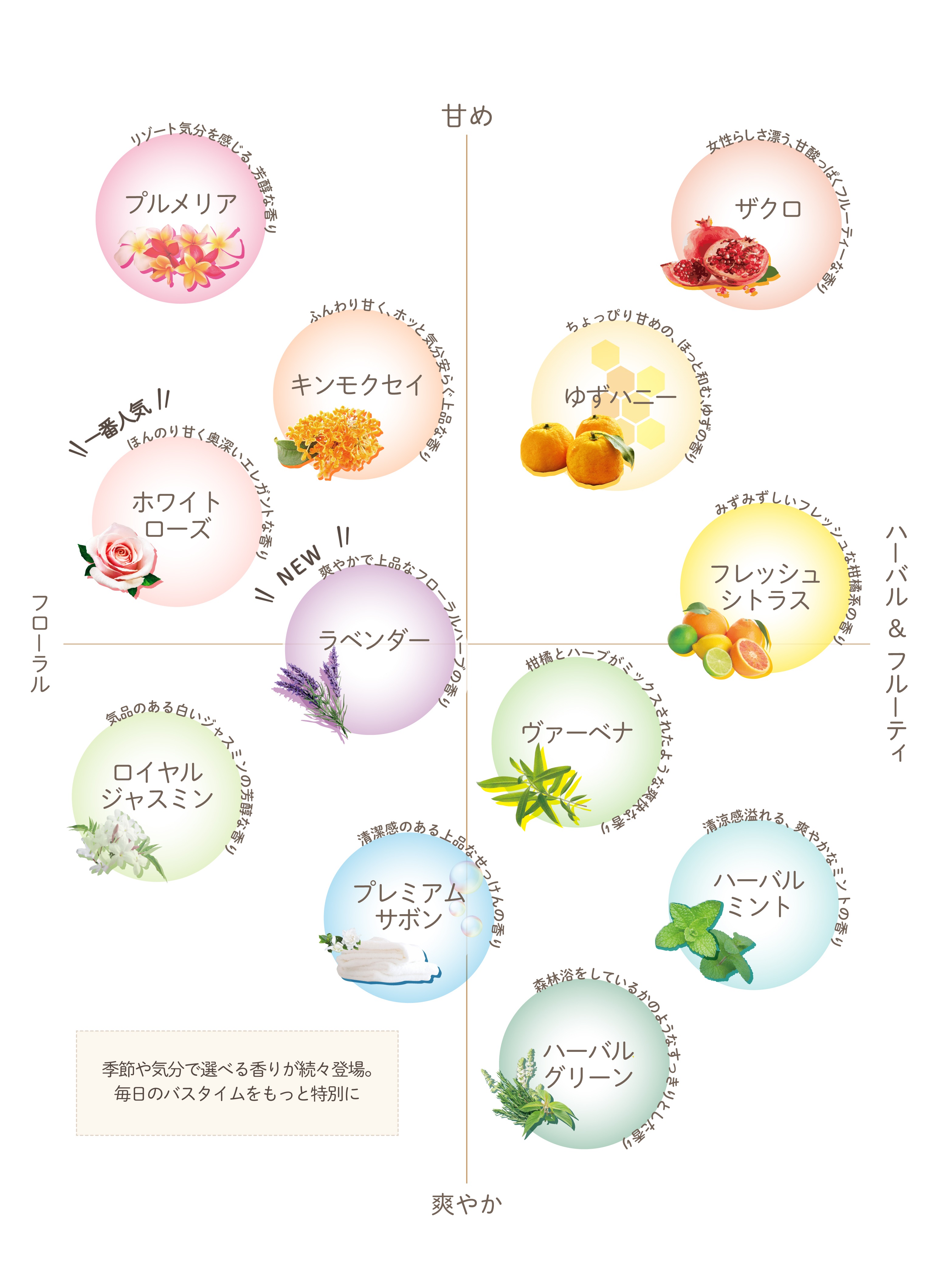 ☆　Chi・Chi様│Biocell、ミネラルソープ　ルース 株式会社マーナーコスメチックス通販ショップ