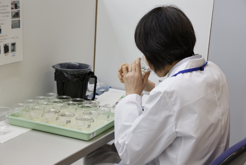 審査の様子