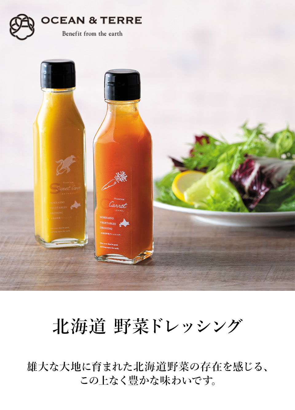 OCEAN & TERRE オーシャンテール 北海道 野菜ドレッシングセットE 【約