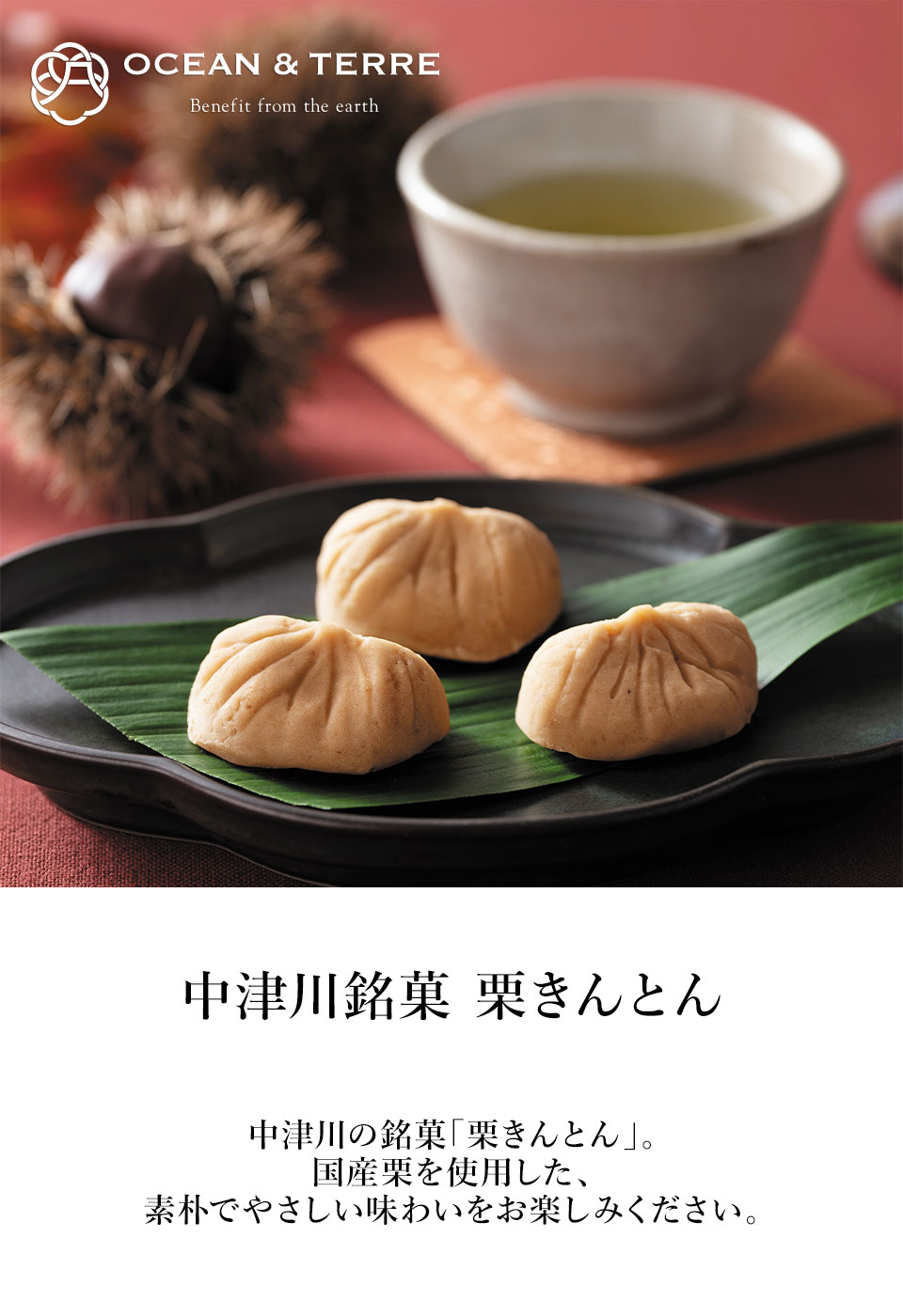 OCEAN & TERRE オーシャンテール 中津川銘菓 栗きんとん3個 【約