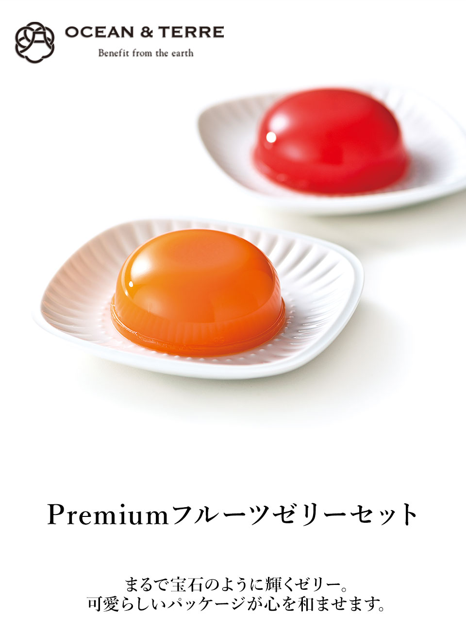 OCEAN & TERRE オーシャンテール PremiumフルーツゼリーセットA 【約5