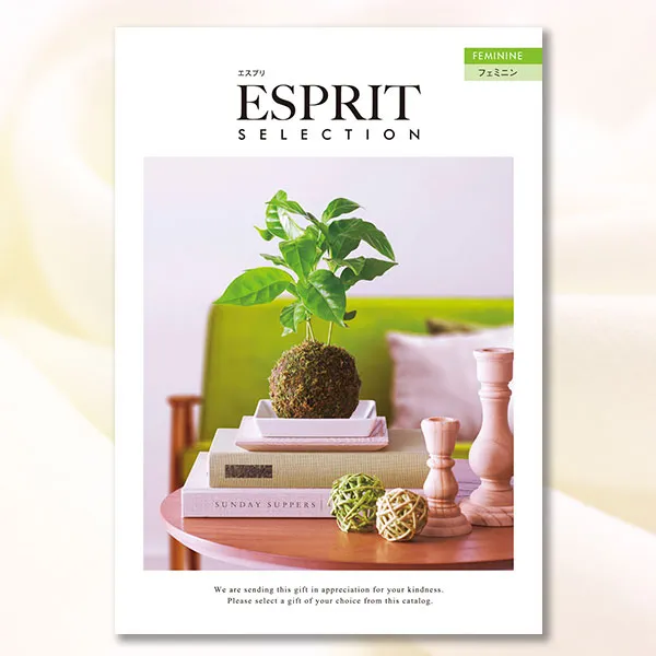 ���ʲ���