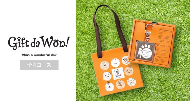 �����������եȡ�Gift da Won������4������