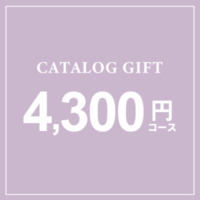 (CE) 4300円コース電子カタログ