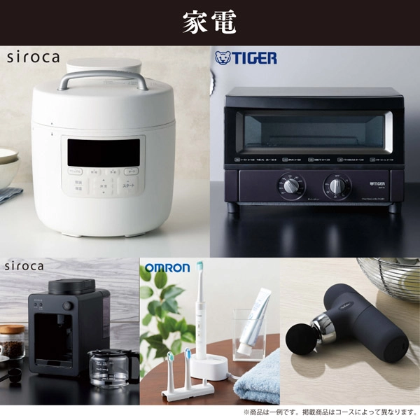 温泉 旅行 家電 カタログギフト 新品未使用 現行品 1冊 260点掲載 内祝い