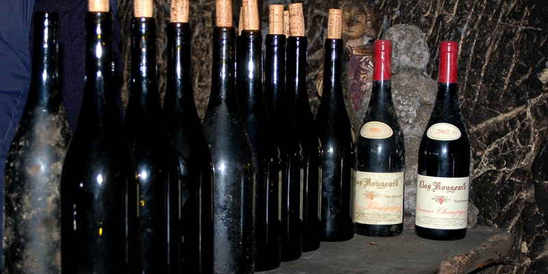 フランス,ロワール,アンジュ & ソミュール #2,クロ・ルジャール | 円