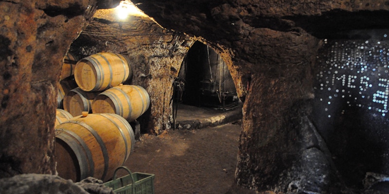 フランス,ロワール,アンジュ & ソミュール #2,クロ・ルジャール | 円