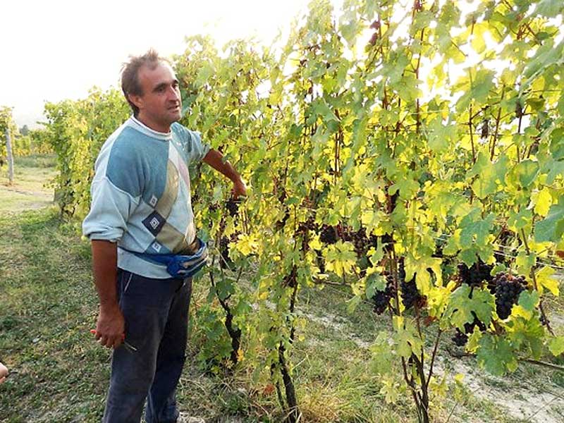 イタリア,北部イタリア,ピエモンテ,バローロの生産者,ジョヴァンニ