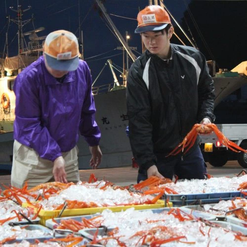 香住ガニ目利き人