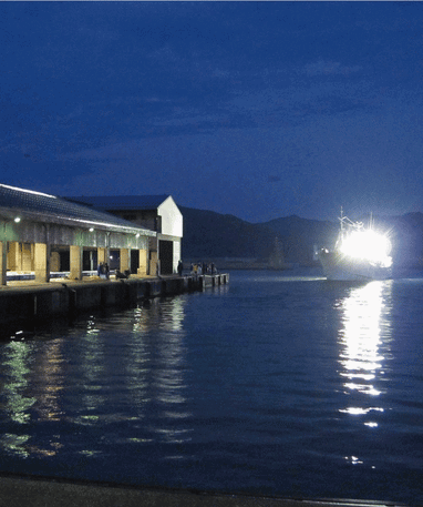 日本海の海の恵み