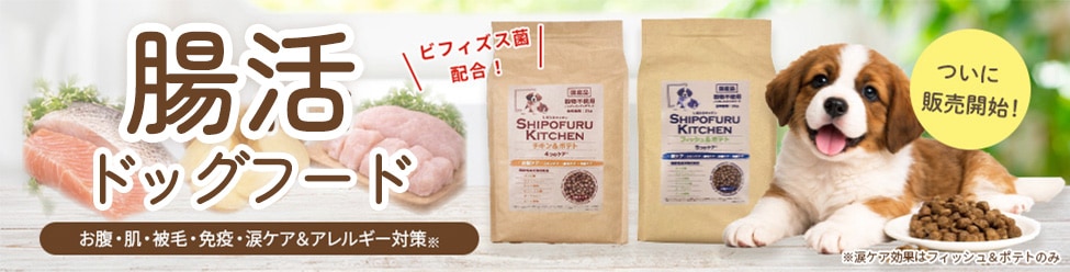 しぽふるキッチン