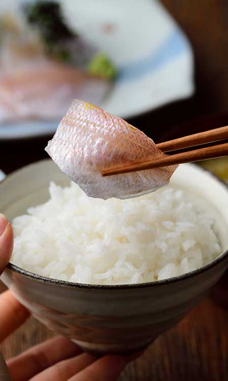 小鯛ささ漬の若狭小浜 丸海